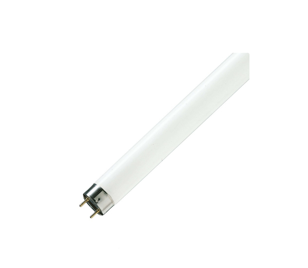 Lámpara Fluorescente Philips 36W TDL/54 Luz Fría